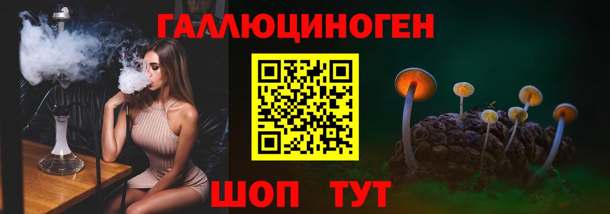 Псилоцибиновые грибы Psilocybe  что такое наркотик  Сальск  Вход с VPN 